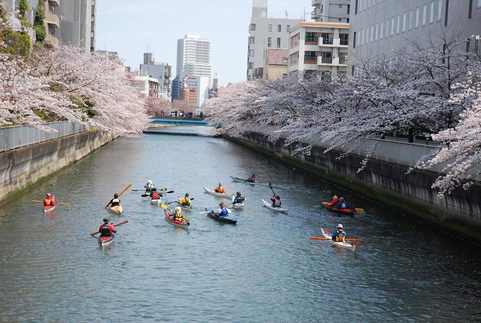 2017.4.5 東京運河お花見ツーリング